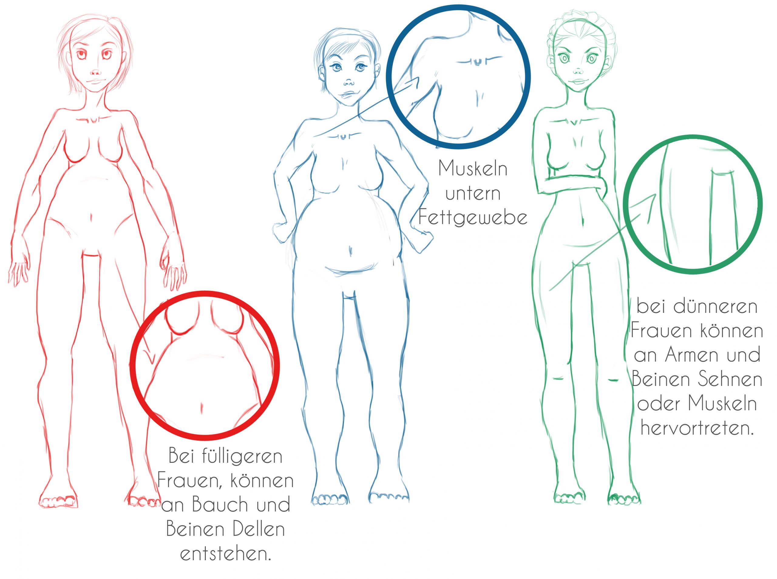 weibliche Körpertypen zeichnen