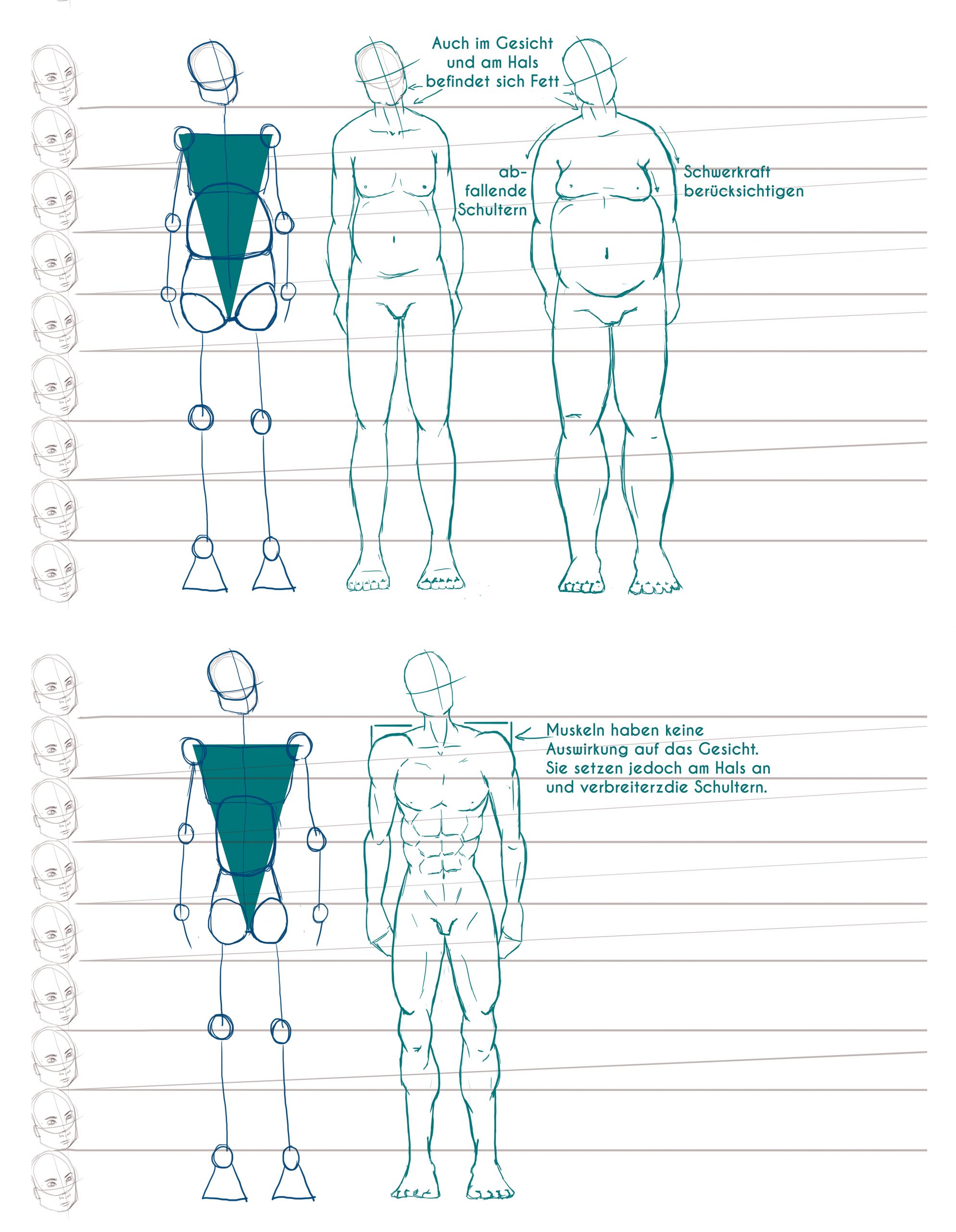 Männliche Körper zeichnen - Studio für Vektorgrafik, Illustration und